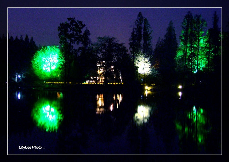 西湖夜景 摄影 卷毛头