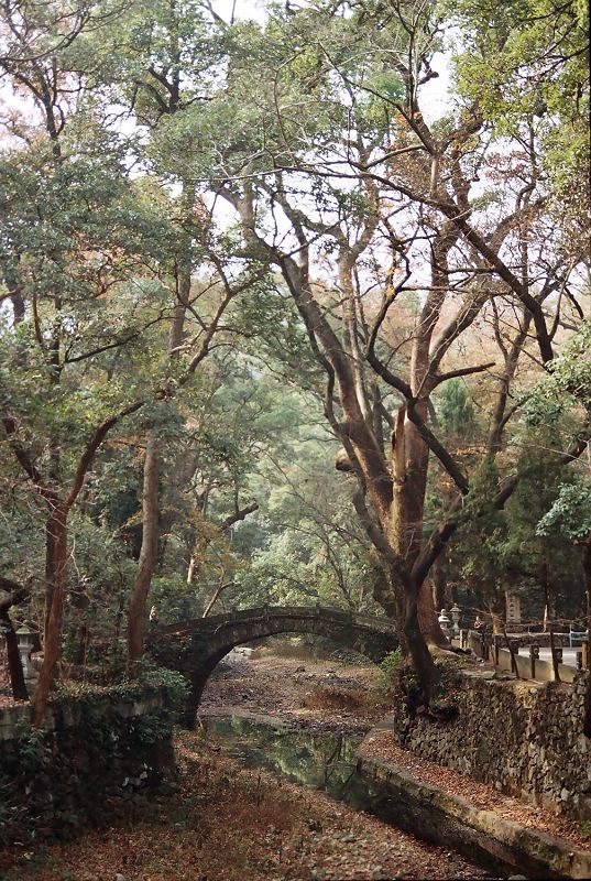 古寺.古樟.古桥 摄影 江苏 陈应海