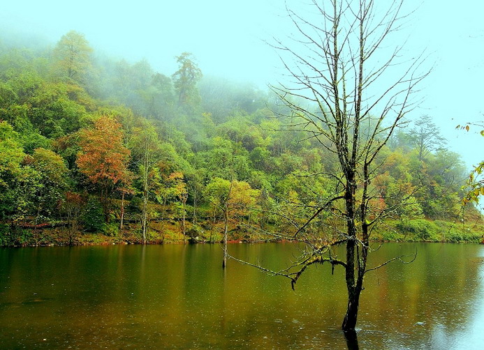 喇叭河-雨中鹿苑小景 摄影 老盐