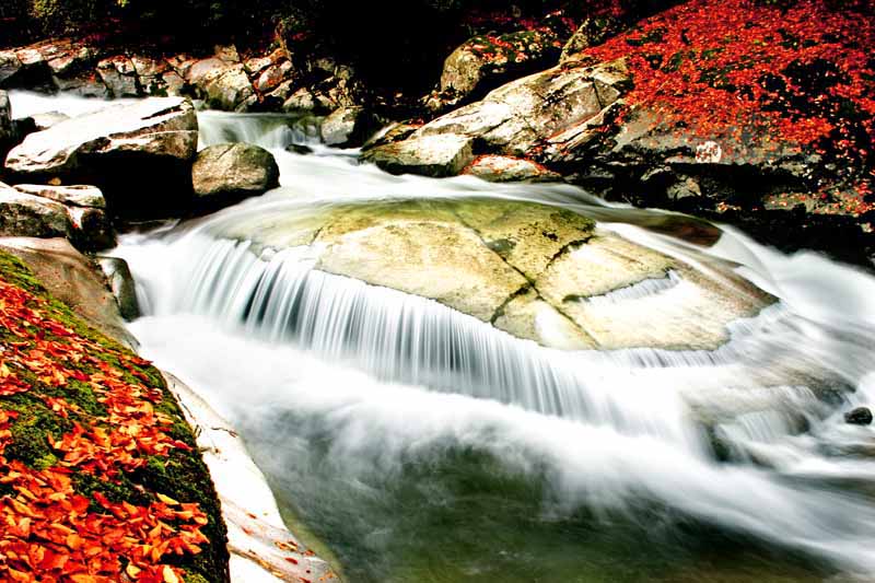 光雾山黑熊沟小景 摄影 内江百姓