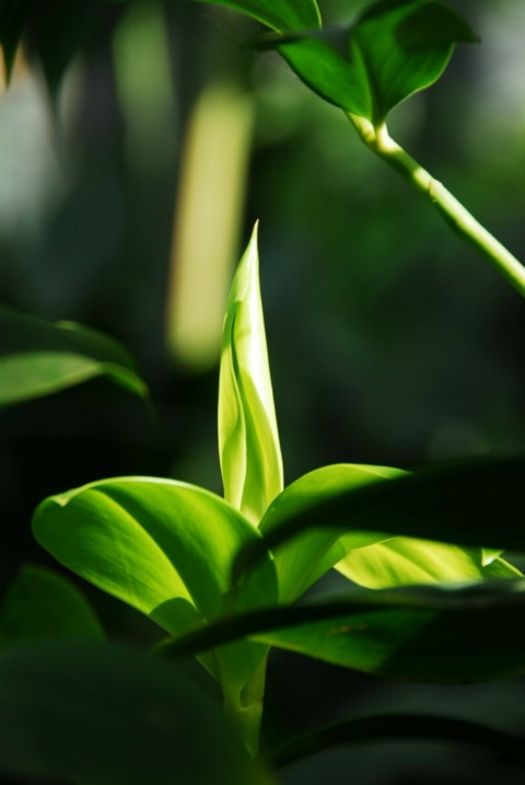 亮箭 摄影 景随心意