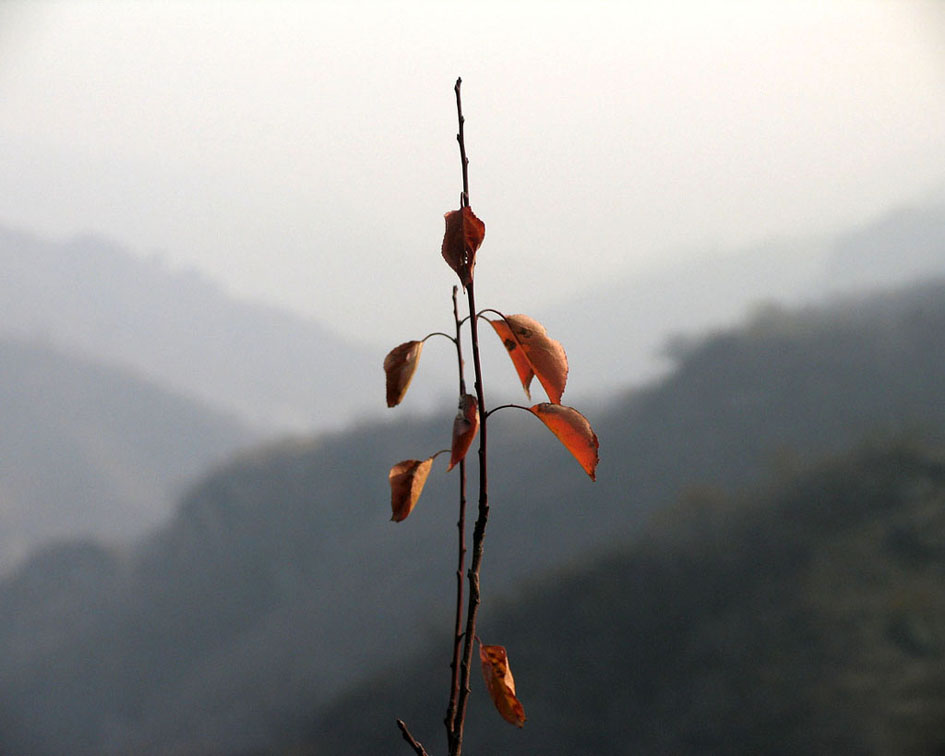 残秋 摄影 天际边