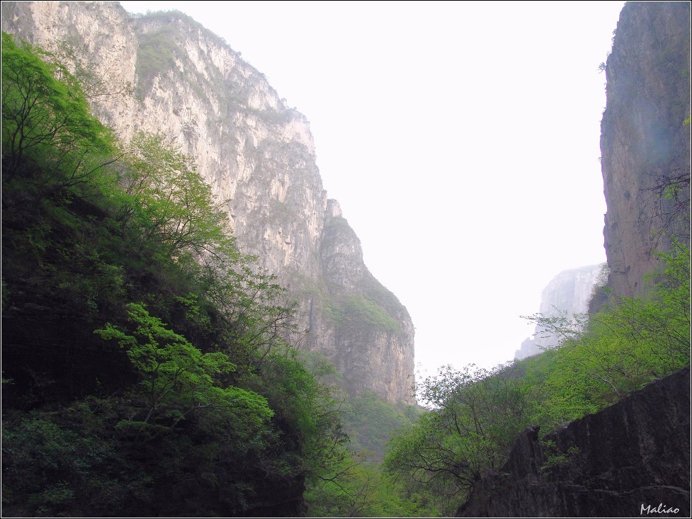 90.云台山·峡谷之春·起伏 摄影 马里奥MALIAO