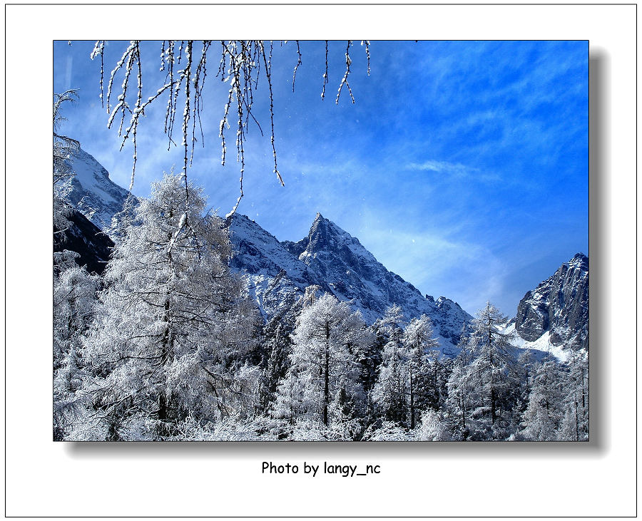 毕棚沟雪景 摄影 紫荷