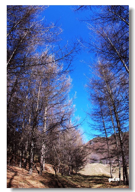 冬季霍山风景 摄影 观光游人