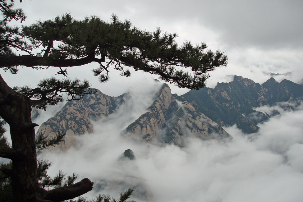 华山云海 摄影 遐想-