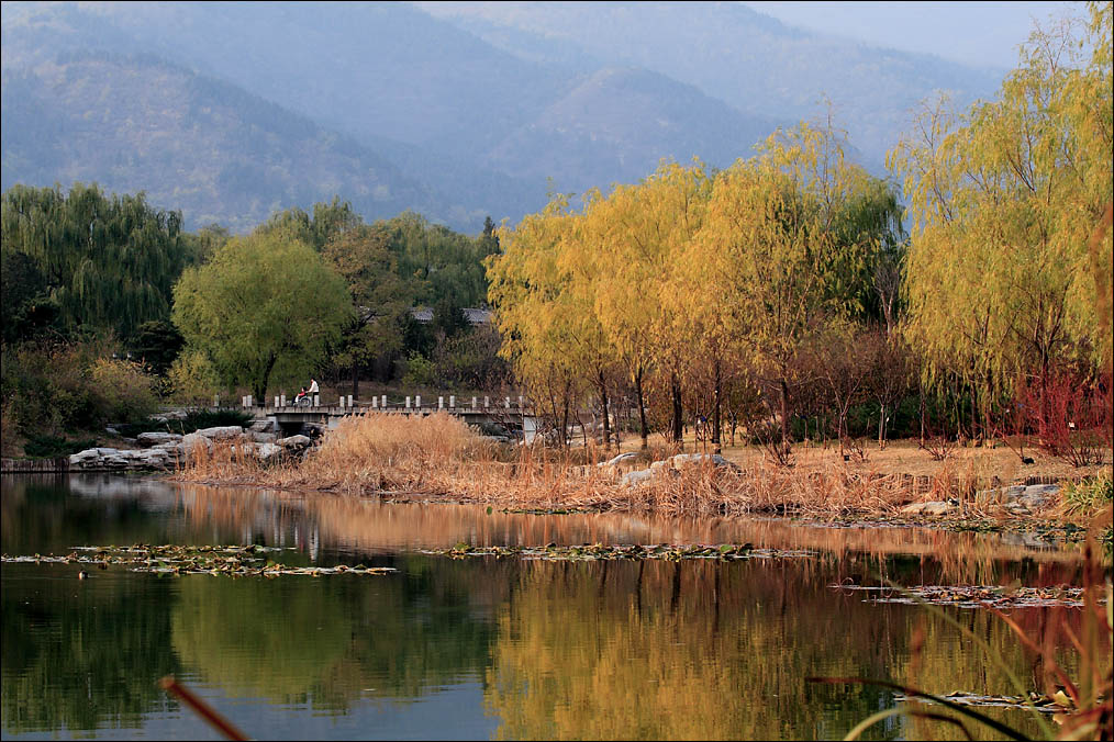 秋韵 摄影 guanpeng