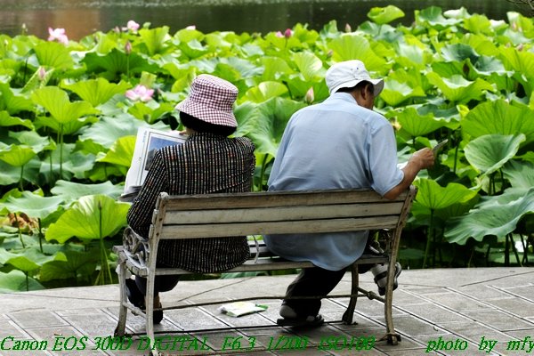 各看各的 摄影 怡年