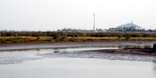 江边湿地1(焦山远眺) 摄影 研影