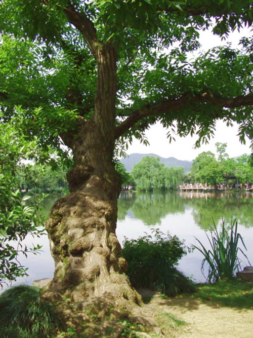 芃 摄影 幽居天岩