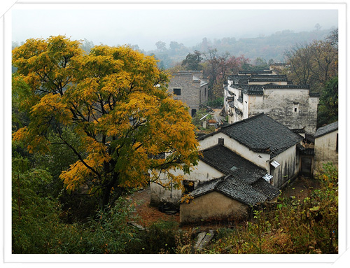 塔 川 秋 色 摄影 无声