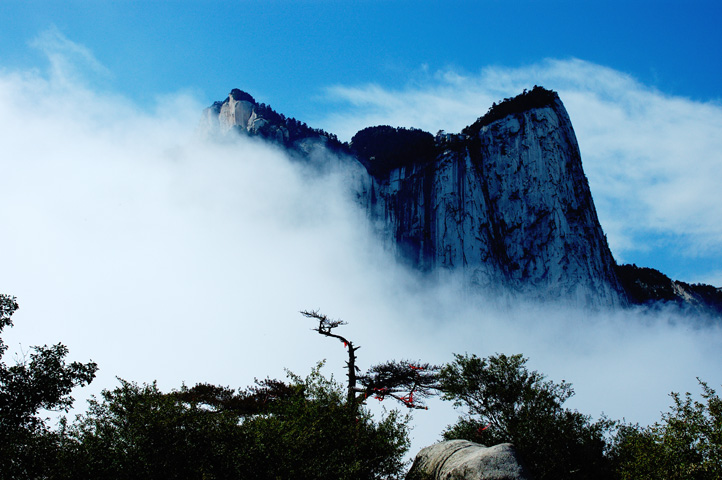 华山 摄影 ms红树林