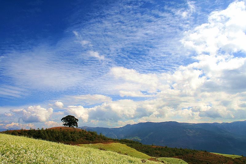 红土地 摄影 彩云之客