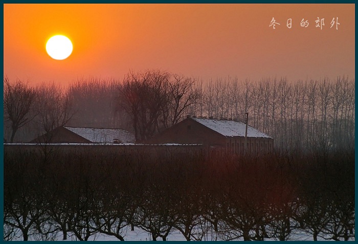 冬日的郊外 摄影 夕阳无限