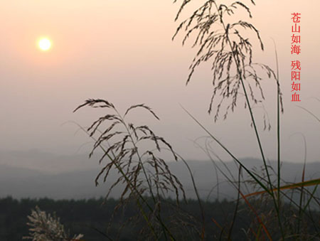 余辉 摄影 草根