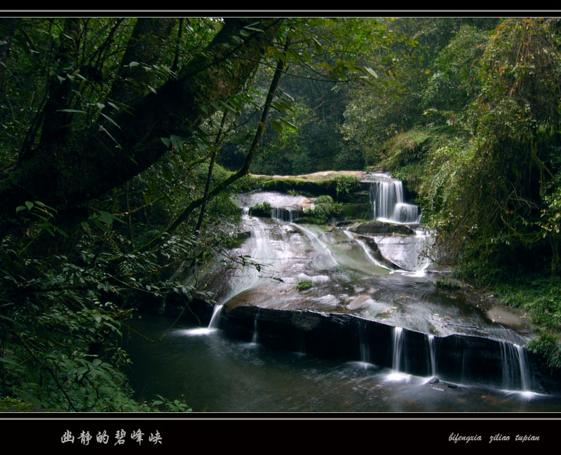 幽静的碧峰峡 摄影 山谷虎啸