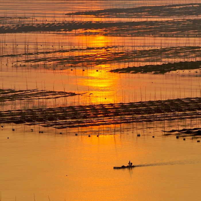 暮色 摄影 jieyisun