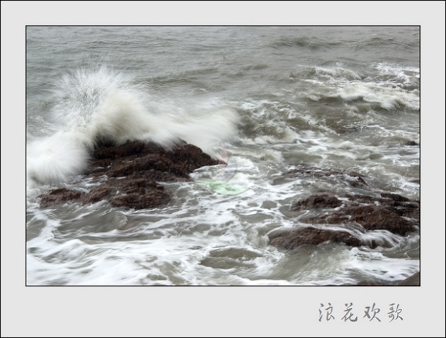 浪花飞歌 摄影 山野布衣