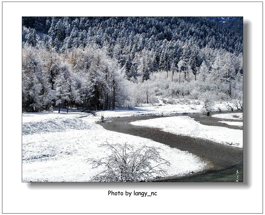 毕棚沟雪景 摄影 紫荷