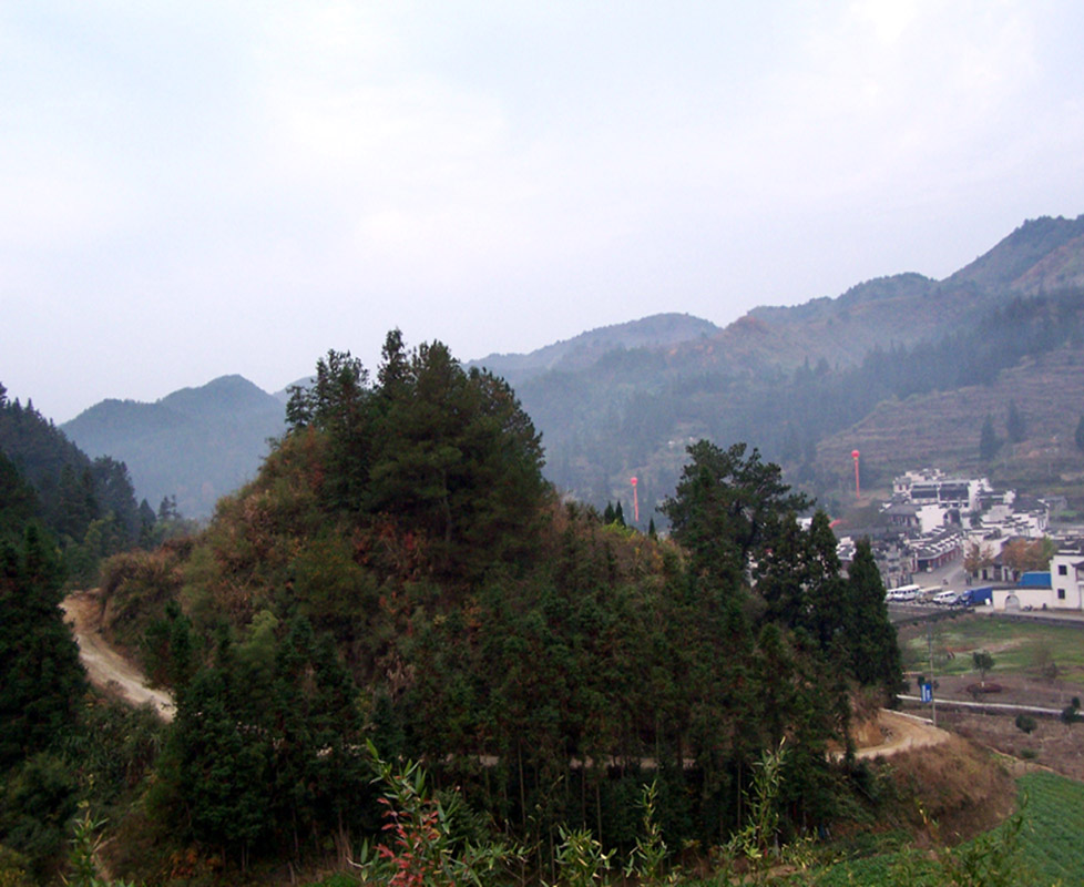 皖南山区盘山公路 摄影 龙夫人