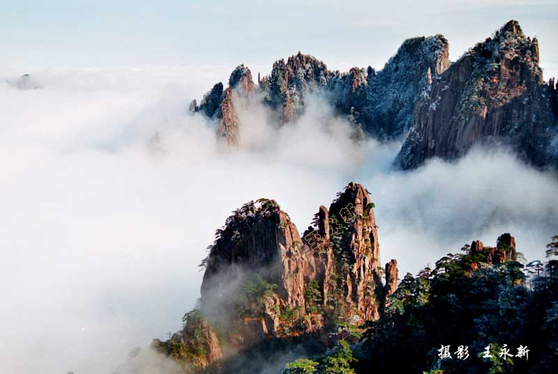 黄山冬韵 摄影 黄山风光