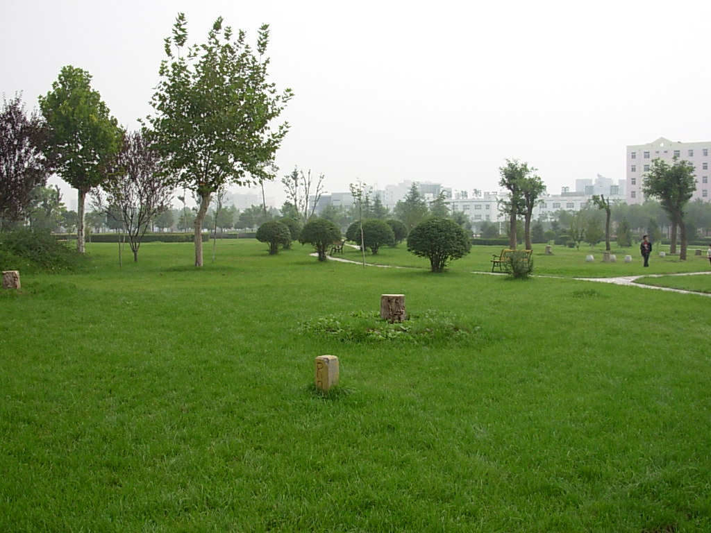 美丽的扬凌 摄影 laoxiancheng