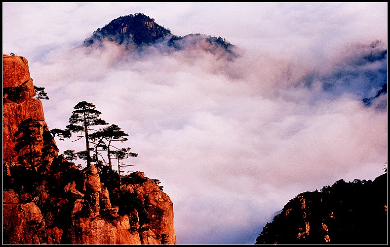 黄山云雾2 摄影 观山