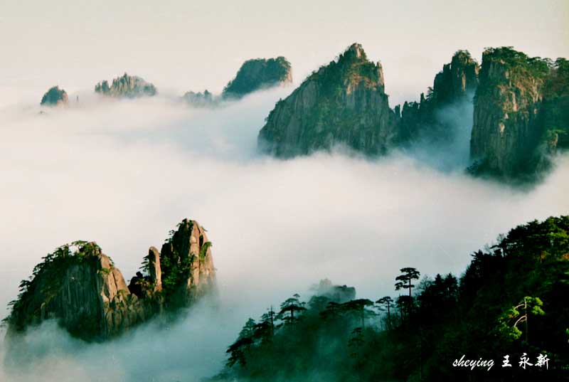 风景如画 摄影 黄山风光