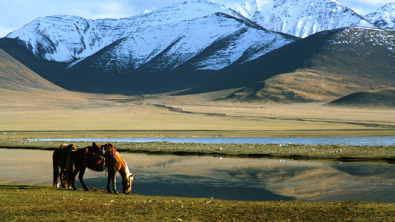 纳木错/NAMTSO LAKE/SEPT/2006 摄影 夬非