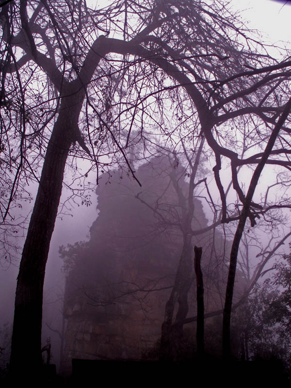 雾锁群峰 摄影 版纳阿大