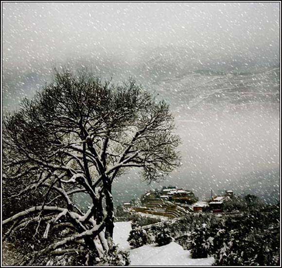 初雪 摄影 黄土地