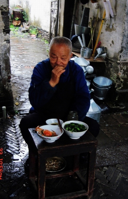 晚年 摄影 草原上的小花