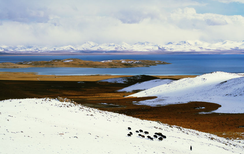 西藏/纳木错/TIBET/NAMTSO/OCT/06 摄影 XXM21TH