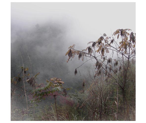 秋山雨后亦朦胧 摄影 引泉