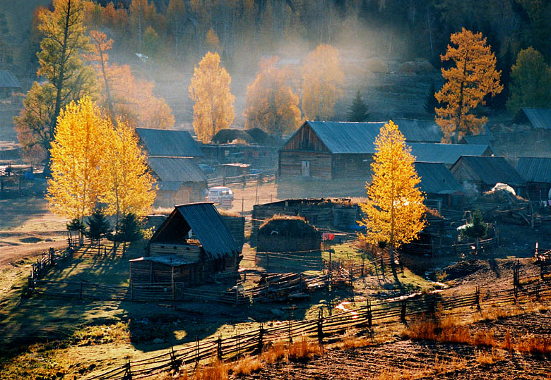 金色山村 摄影 不鸣