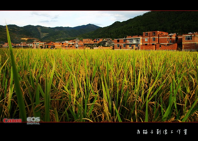 丰年 摄影 雨后_斜阳