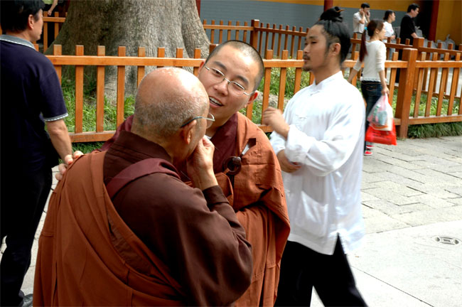 佛缘5 摄影 蕻毵毵