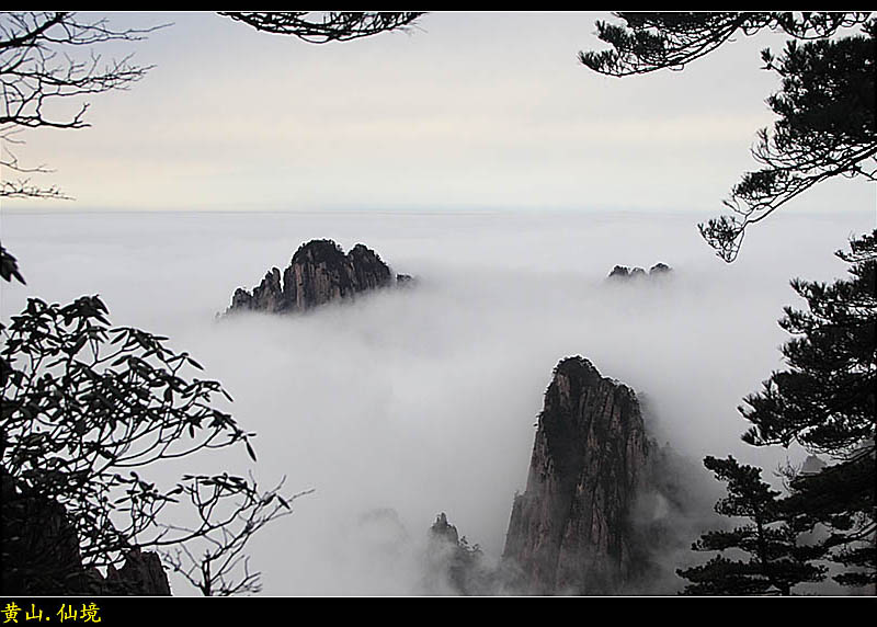 黄山.仙境 摄影 色止