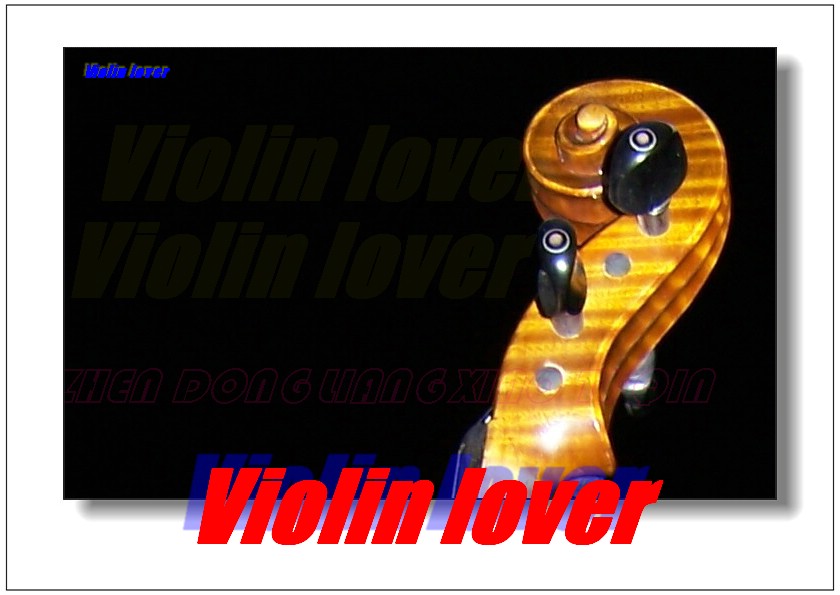 Violin----My_lover 200 摄影 小提琴情人