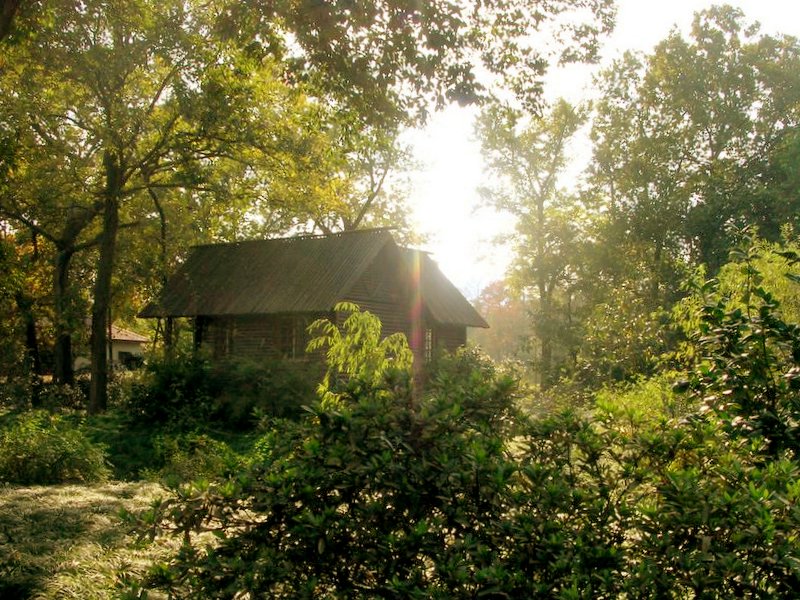 我梦中的小屋 摄影 彼岸的风景