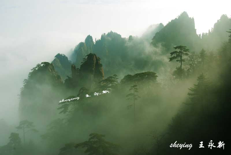 黄山云海 摄影 黟山