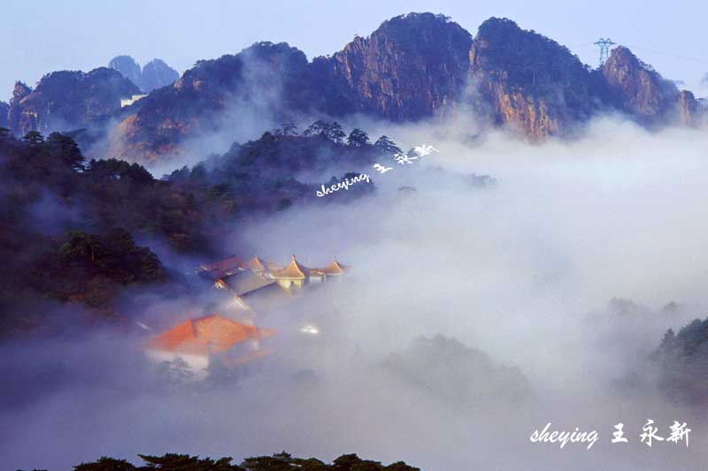 飘渺 摄影 黄山风光