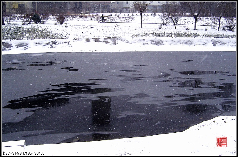 2006年冬的第一场雪 摄影 走马观花