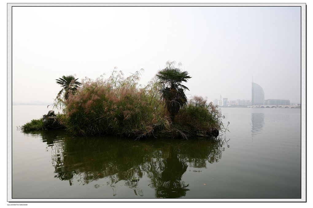 湖中绿洲 摄影 秦淮听雨