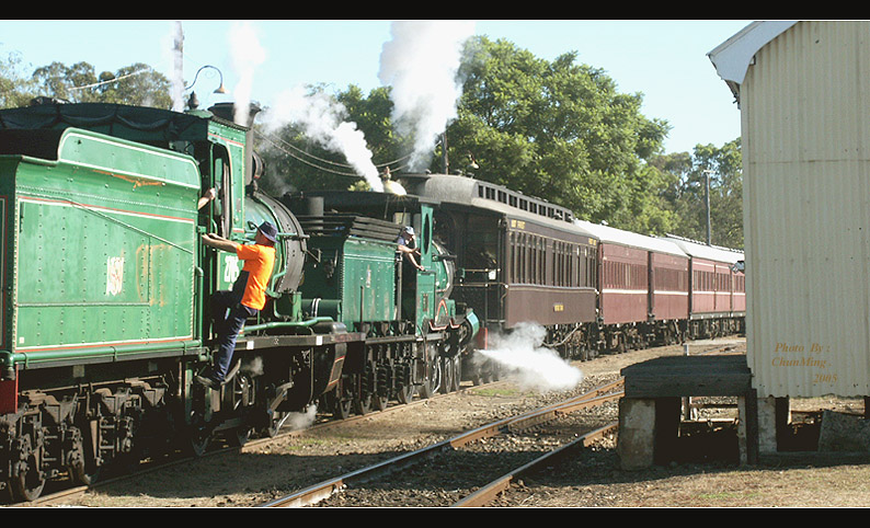 Steam Train  蒸汽火车 摄影 南极星