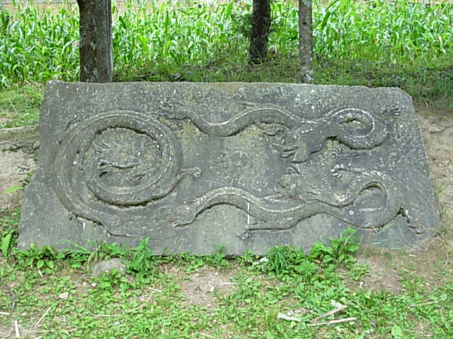 三龙戏珠 摄影 laoxiancheng