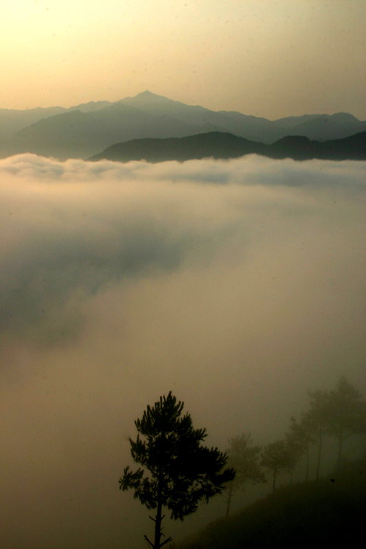 雾涌东华山 摄影 时颖