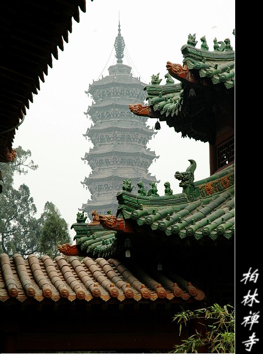 柏林禅寺 摄影 阳春飞雪