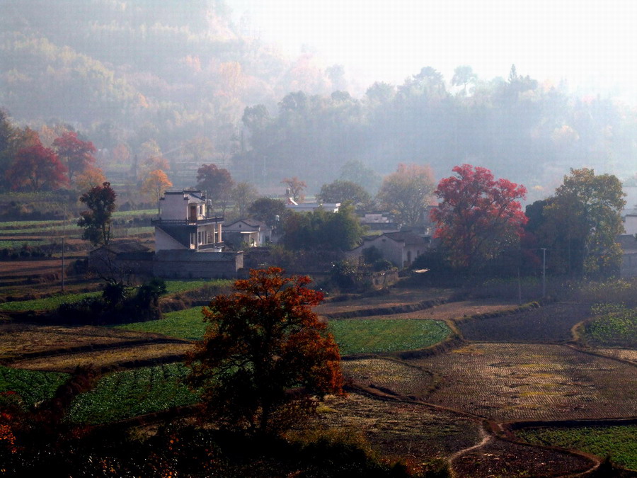 皖南山区塔川村 摄影 恩各各