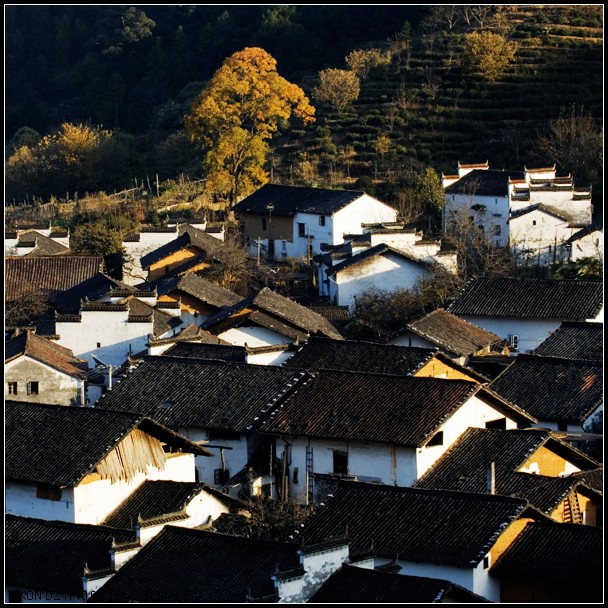 山村 摄影 观山